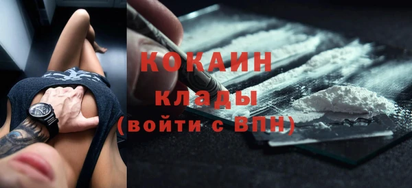 прущие грибы Балабаново