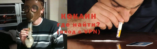 прущие грибы Балабаново