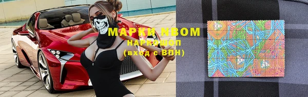 прущие грибы Балабаново