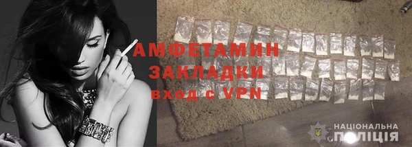 прущие грибы Балабаново