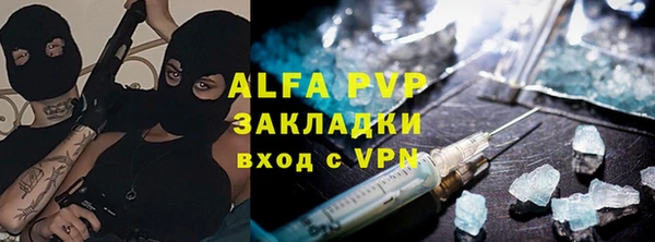 прущие грибы Балабаново
