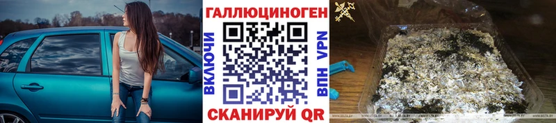 где можно купить наркотик  Сунжа  Галлюциногенные грибы MAGIC MUSHROOMS 