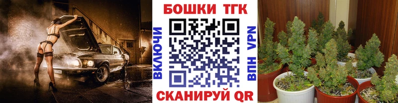 Бошки марихуана SATIVA & INDICA Сунжа